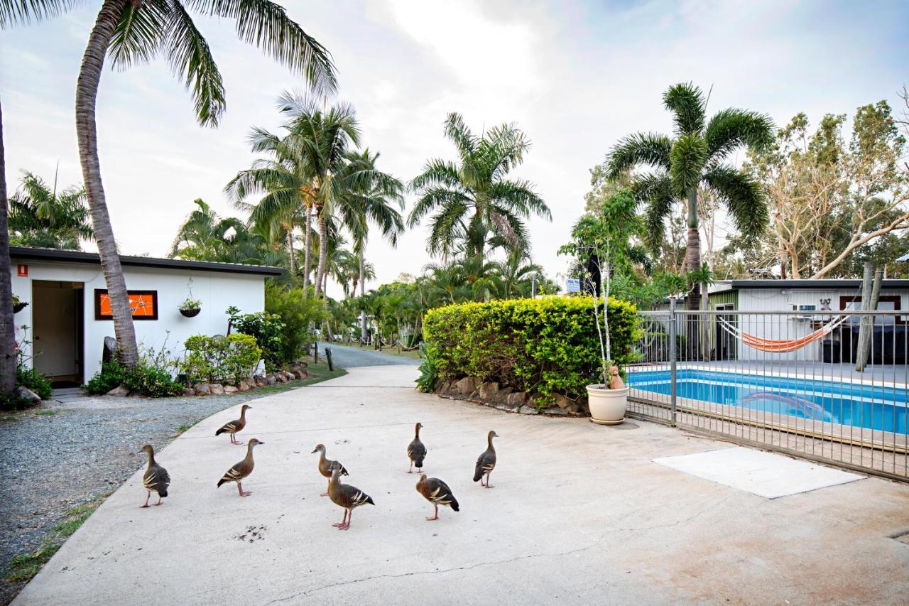 Bush Village Holiday Cabins Airlie Beach Εξωτερικό φωτογραφία