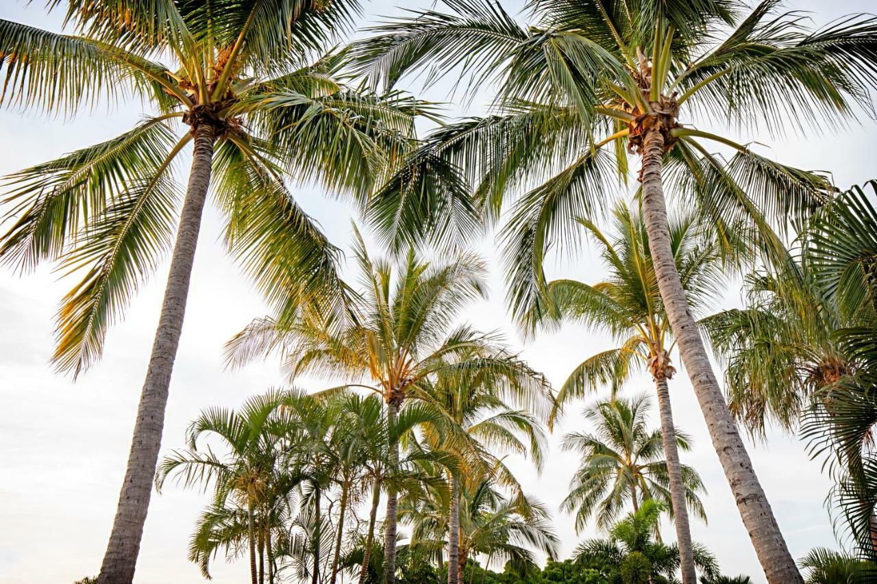 Bush Village Holiday Cabins Airlie Beach Εξωτερικό φωτογραφία